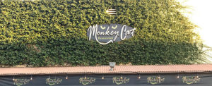 Monkey Cat Restaurant, Auburn CA